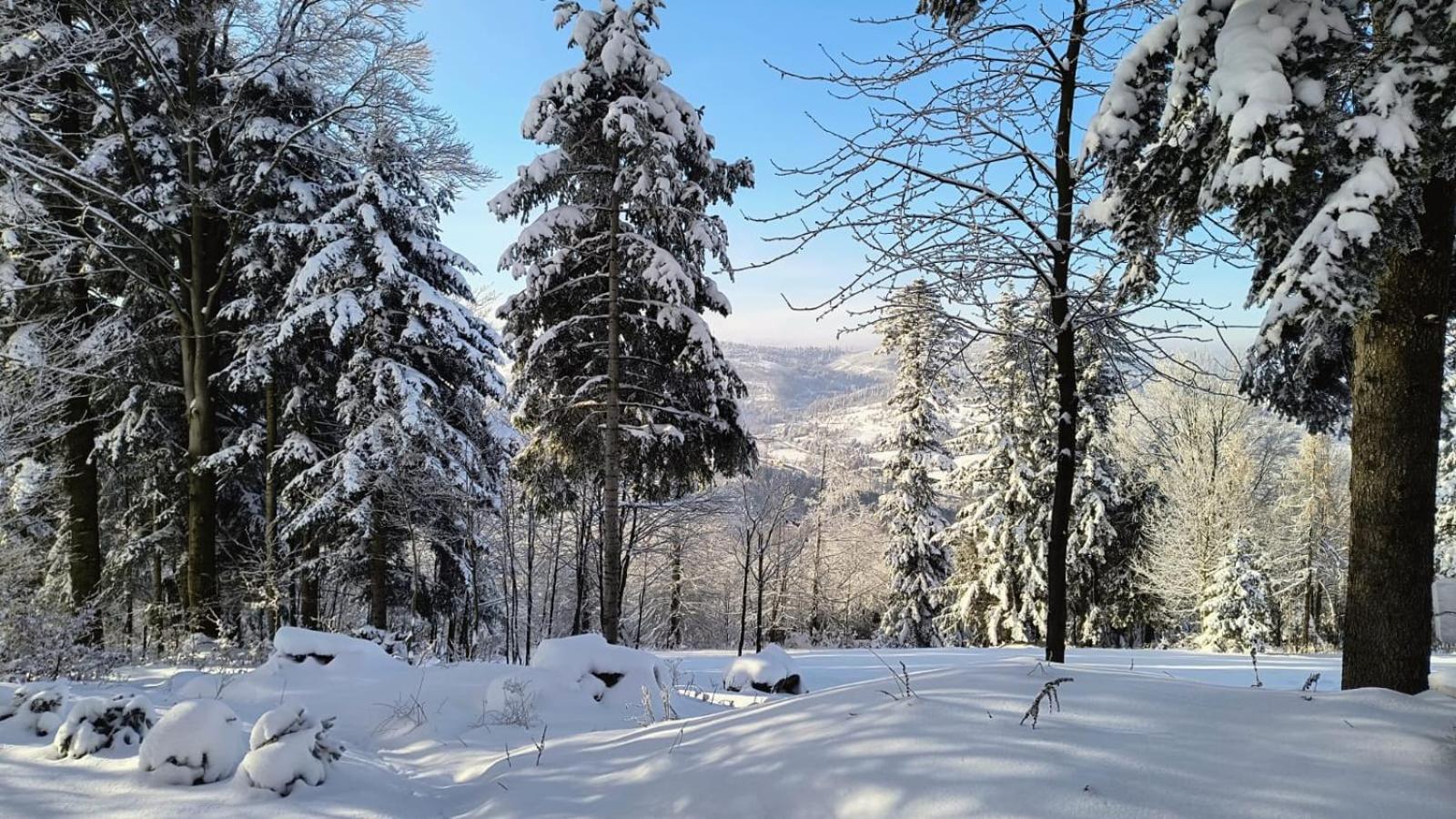 Pod Kasztanem Lodge Zwardon